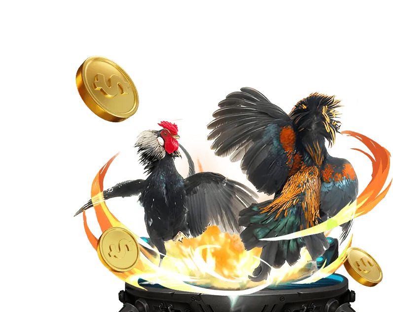 Hướng dẫn chơi 888new Bet cho người mới bắt đầu